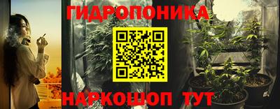 прущие грибы Конаково